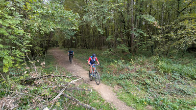PXL_20261018_110744303.jpg