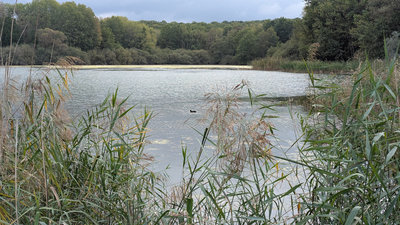 PXL_20261018_114303309.jpg